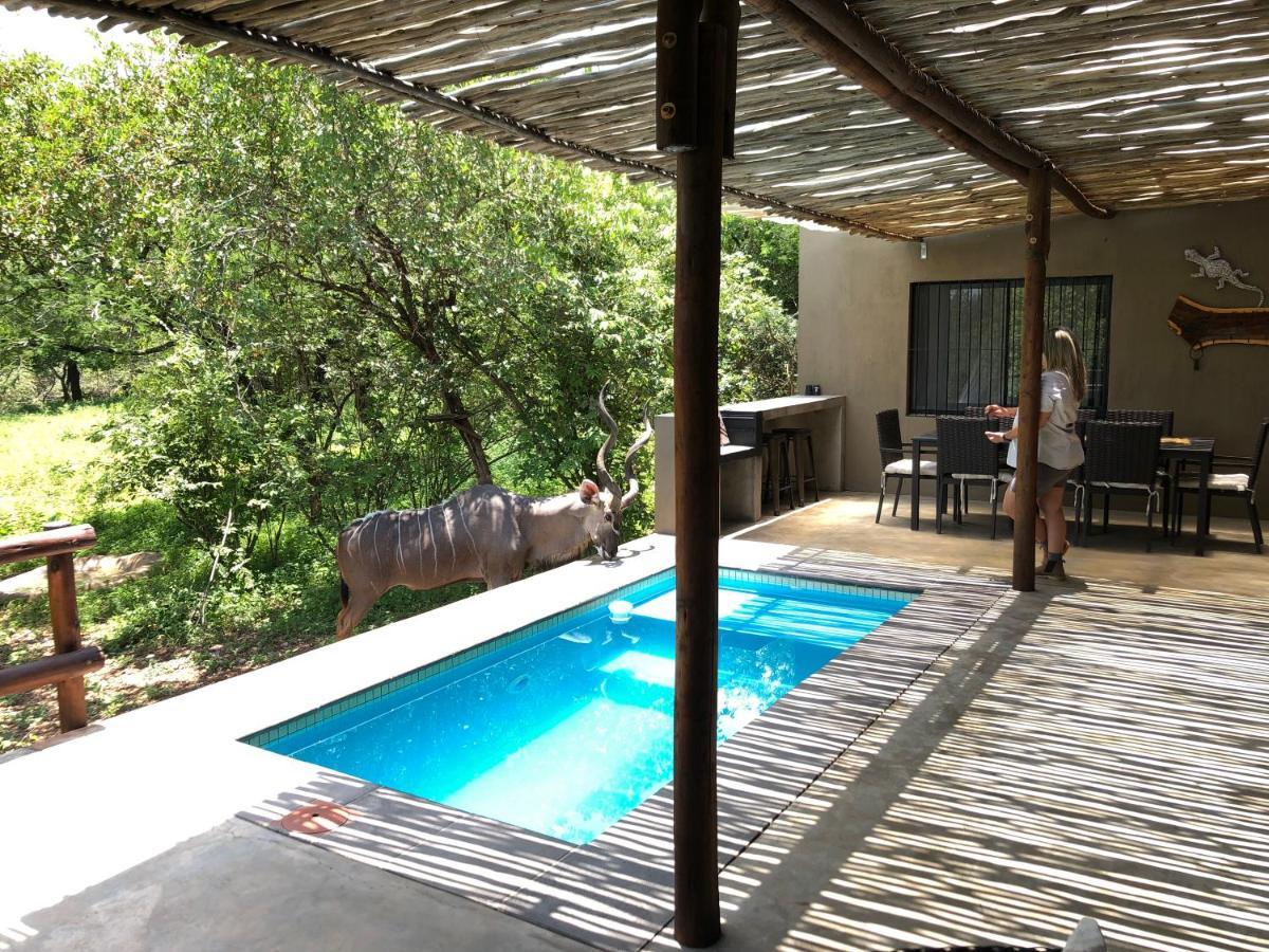 Kruger Willows Marloth Park Exterior photo